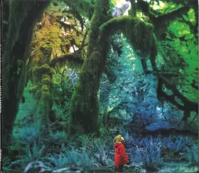 Couverture du produit · Cabinet Of Curiosities