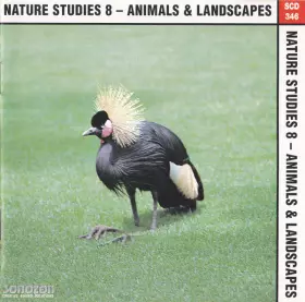 Couverture du produit · Nature Studies 8 - Animals & Landscapes