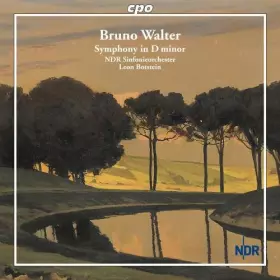 Couverture du produit · Symphony In D Minor