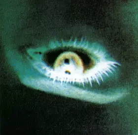 Couverture du produit · Sorserez