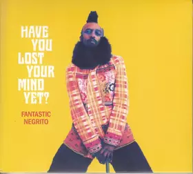 Couverture du produit · Have You Lost Your Mind Yet?