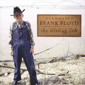 Couverture du produit · The Missing Link