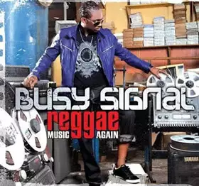 Couverture du produit · Reggae Music Again