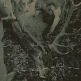 Couverture du produit · Hungry Dogs (In The Backyard)