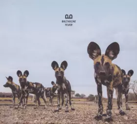 Couverture du produit · Fever