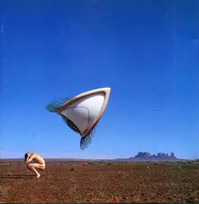 Couverture du produit · Bury The Hatchet