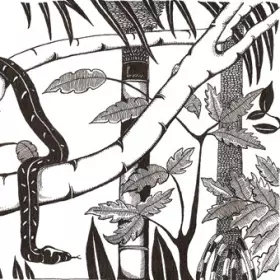 Couverture du produit · Domingo