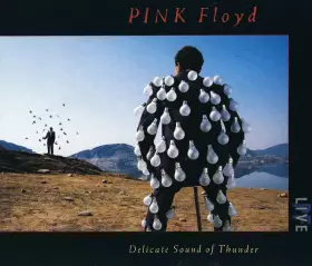 Couverture du produit · Delicate Sound Of Thunder