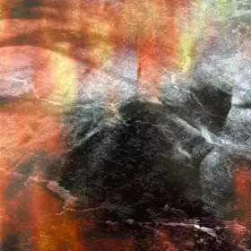 Couverture du produit · Rosa Negra