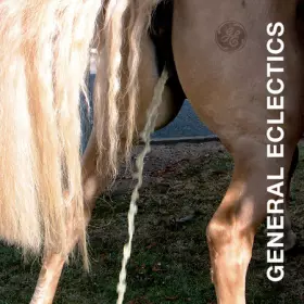 Couverture du produit · General Eclectics