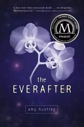 Couverture du produit · The Everafter