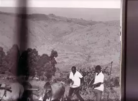 Couverture du produit · The Book of Kenya
