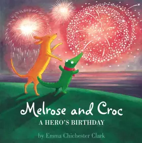 Couverture du produit · A Hero’s Birthday