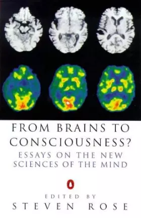 Couverture du produit · From Brains to Consciousness?