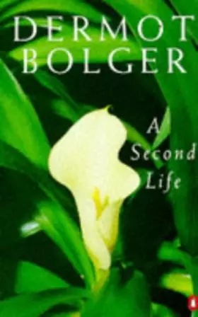 Couverture du produit · A Second Life