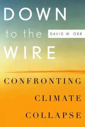Couverture du produit · Down to the Wire: Confronting Climate Collapse