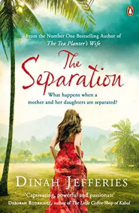 Couverture du produit · The Separation