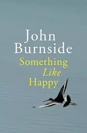 Couverture du produit · Something Like Happy. by John Burnside