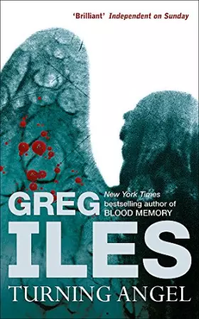 Couverture du produit · Turning Angel