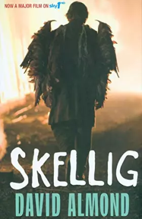 Couverture du produit · Skellig: TV Tie-In