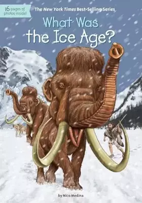 Couverture du produit · What Was the Ice Age?
