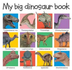 Couverture du produit · My Big Dinosaur Book