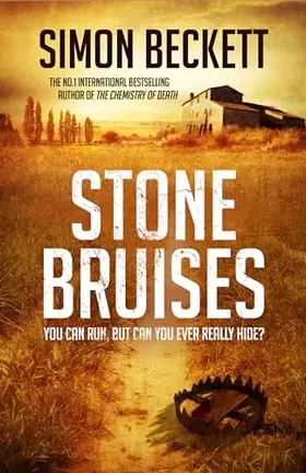 Couverture du produit · Stone Bruises