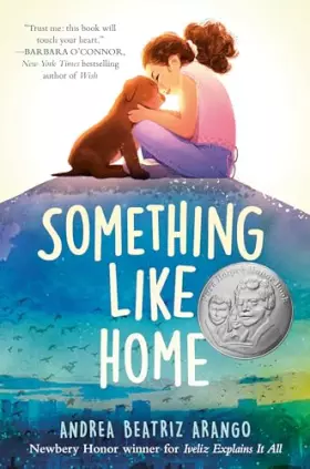 Couverture du produit · Something Like Home
