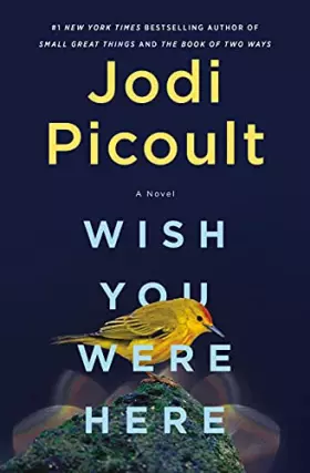 Couverture du produit · Wish You Were Here: A Novel