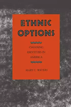 Couverture du produit · Ethnic Options: Choosing Identities in America