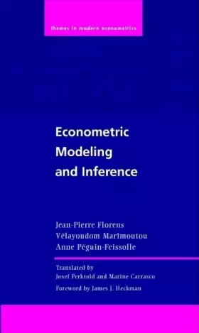 Couverture du produit · Econometric Modeling and Inference (Themes in Modern Econometrics)