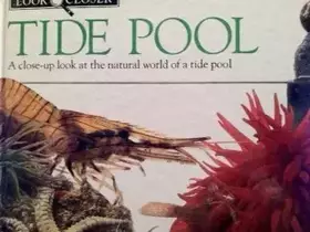 Couverture du produit · Tide Pool Look Closer