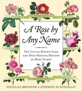 Couverture du produit · A Rose By Any Name