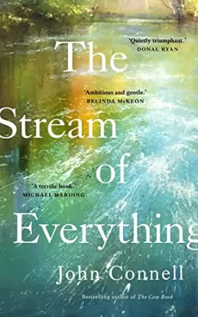 Couverture du produit · The Stream of Everything