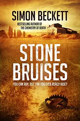Couverture du produit · Stone Bruises