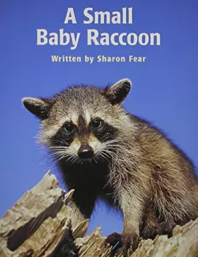 Couverture du produit · A Small Baby Raccoon