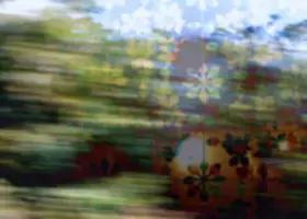 Couverture du produit · Jorge Pardo