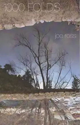 Couverture du produit · 1000 Folds