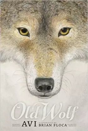 Couverture du produit · Old Wolf