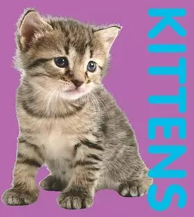 Couverture du produit · Photographic Shaped Board Book: Kittens