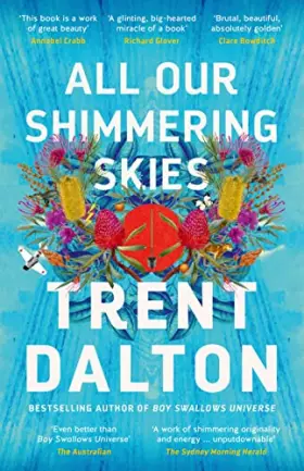 Couverture du produit · All Our Shimmering Skies