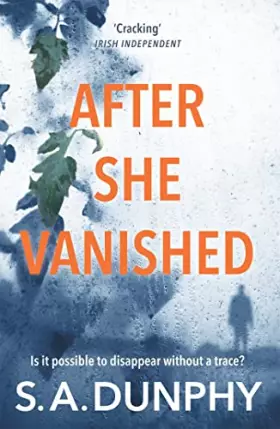 Couverture du produit · After She Vanished