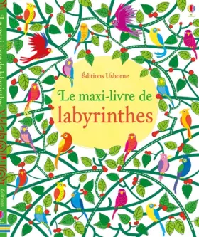 Couverture du produit · Le maxi-livre de labyrinthes