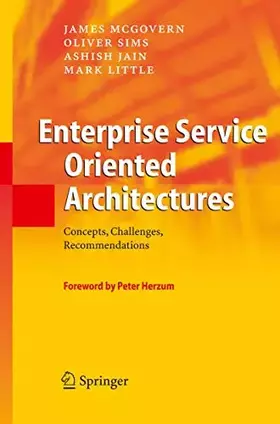 Couverture du produit · Enterprise Service Oriented Architectures: Concepts, Challenges, Recommendations (The Enterprise Series)