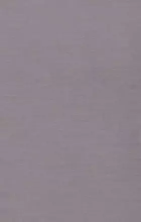 Couverture du produit · Ambiguity in Language Learning – Computational & Cognitive Models