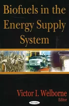 Couverture du produit · Biofuels in the Energy Supply System