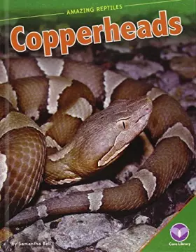 Couverture du produit · Copperheads (Amazing Reptiles)