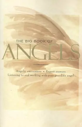 Couverture du produit · Big Book of Angels