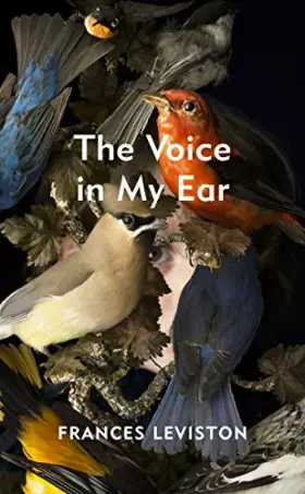 Couverture du produit · The Voice in My Ear