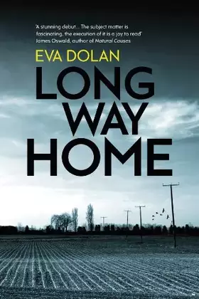 Couverture du produit · Long Way Home (Zigic & Ferreira)